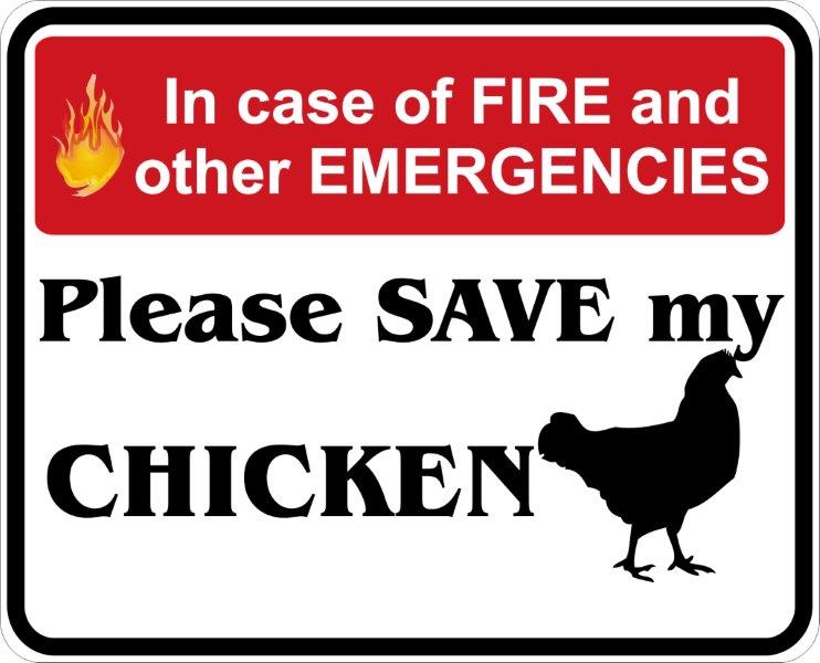 In Case of Fire, Save My Chicken Decal