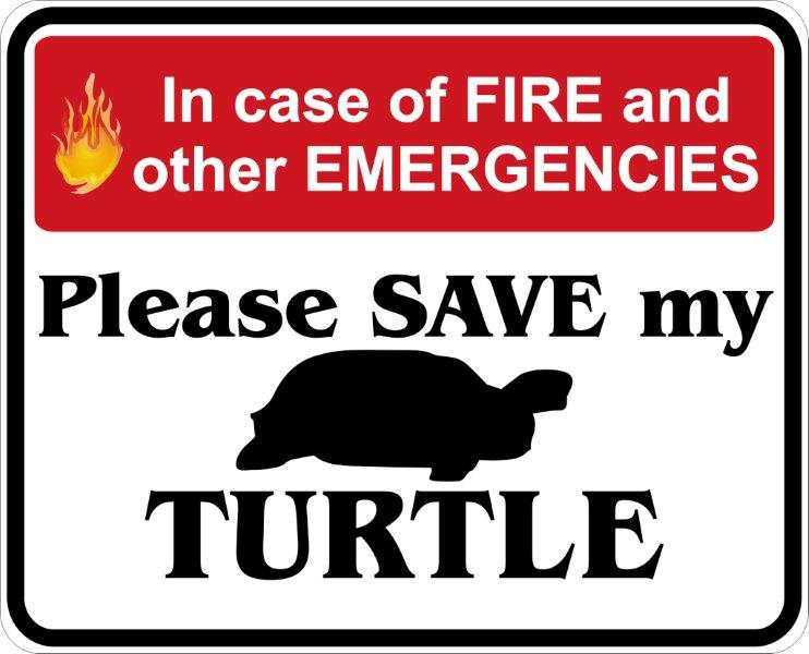 In Case of Fire, Save My Turtle Decal