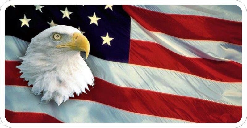 United States Bald Eagle Flag Decal
