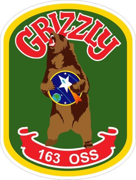163d Operations Support Squadron Decal