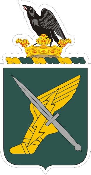 156th Information Operations Battalion COA Decal