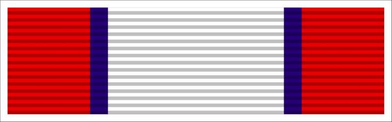 Army Distinguished Service Medal Ribbon Decal