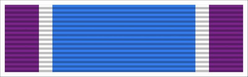 Coast Guard Distinguished Service Ribbon Decal