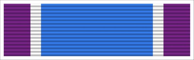 Coast Guard Distinguished Service Ribbon Decal