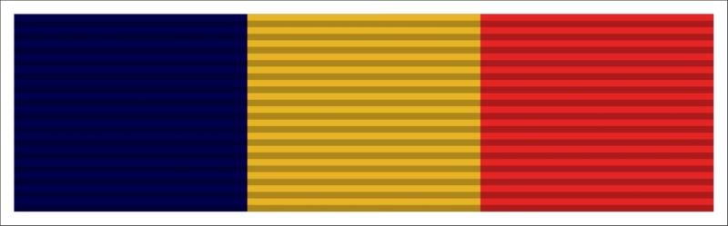 Navy & Marine Corps Medal Ribbon Decal