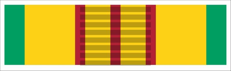 Vietnam Service Ribbon Decal